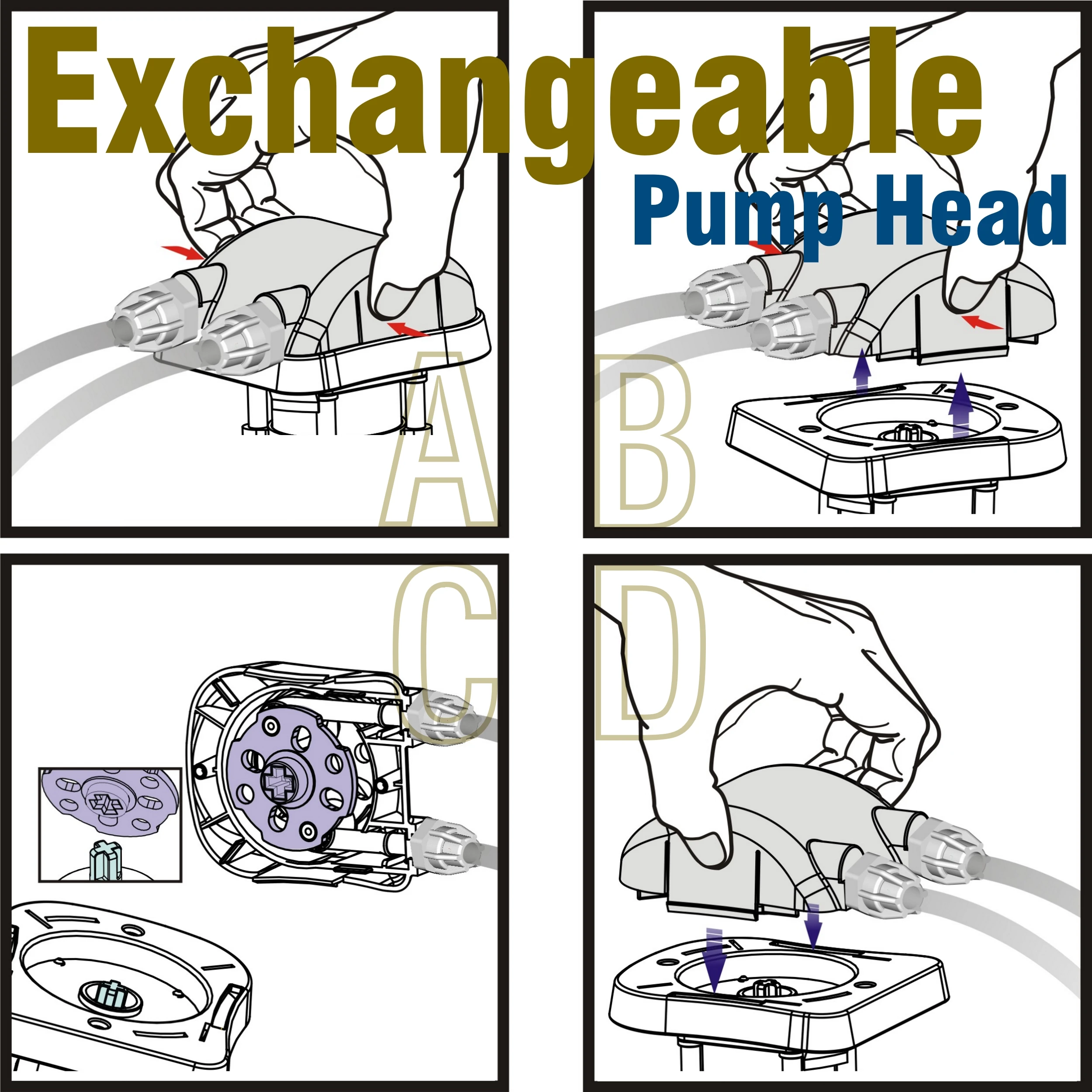 Exch NPT.jpg