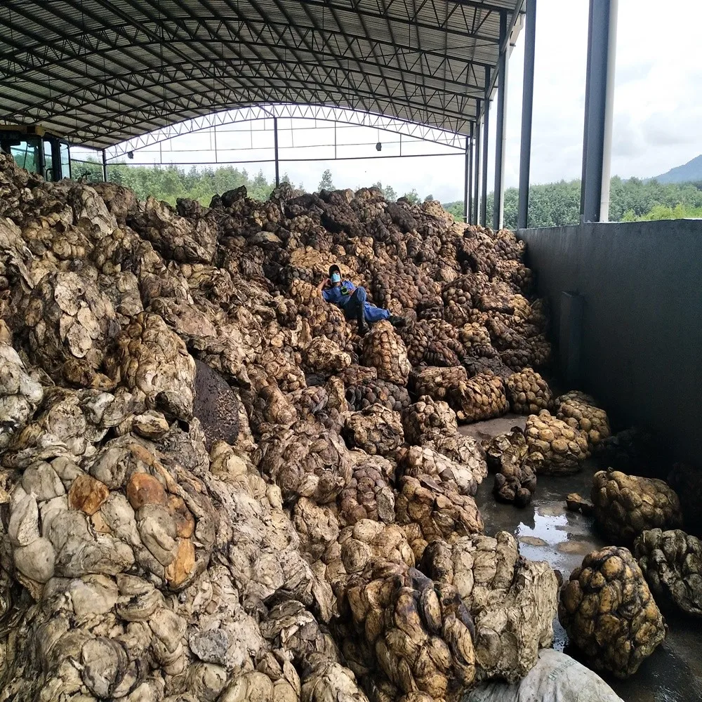 Wholesale Natural rubber latex / Rubber Cup Lumps available for sale