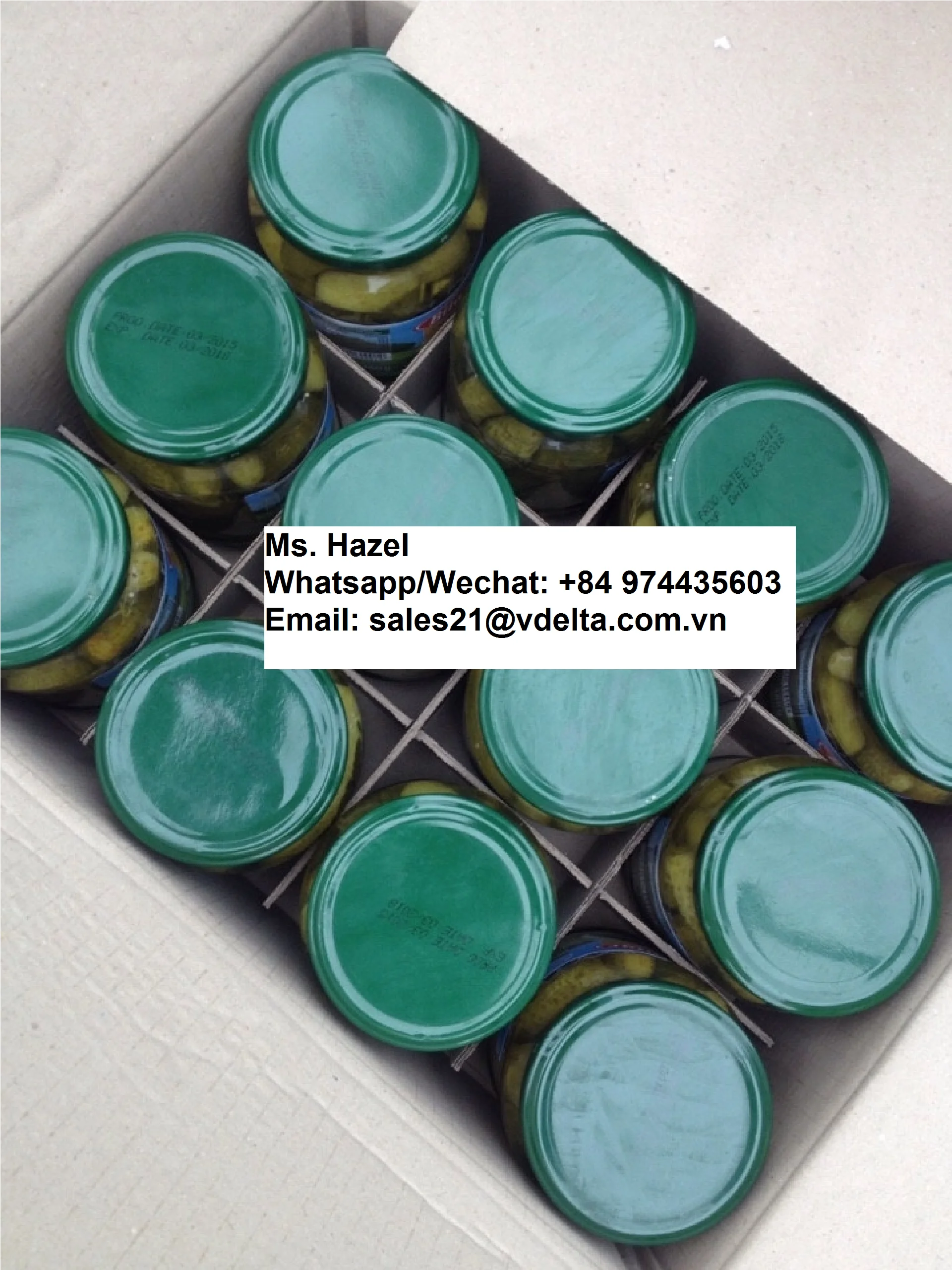 Salted Pickled Whole Cucumbers For Food Export/Cheap Price Canned Baby Cucumber/Ms. Hazel (+84) 974435603