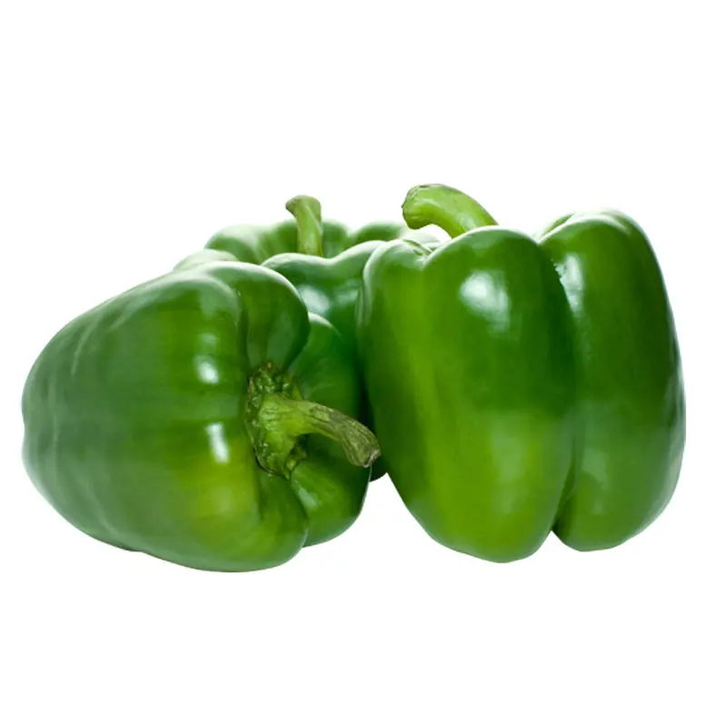 Cheap Bell Pepper Green Yellow Red Sweet Pepper for sale