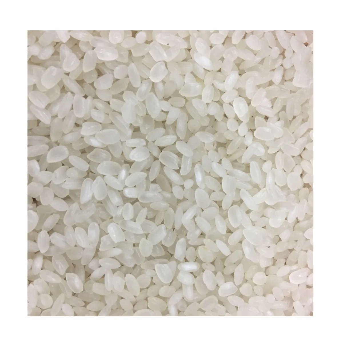 VIETNAMESE RICE PRICE CALROSE VARIETY MOISTURE LOGO OEM/ODM SUPPORT LOW MOQ FROM JCC RICE SUPPLIER IN VIETNAM