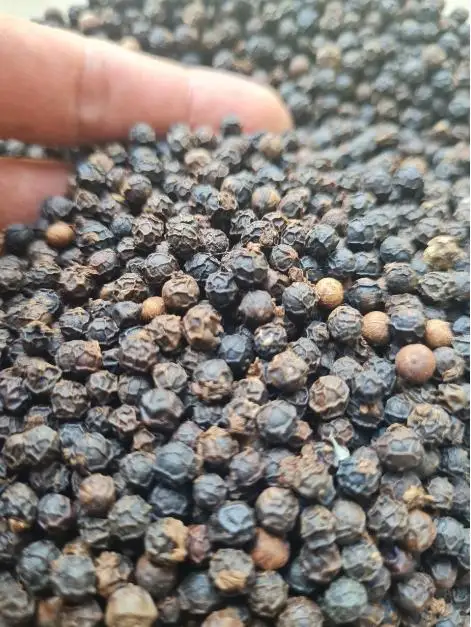 Pepper 2022 from Vietnam Pepper Black Spicy Single Herbs & Spices Dried Raw Allspice 5000 Kg Round with 2-3 Year Shelf Life