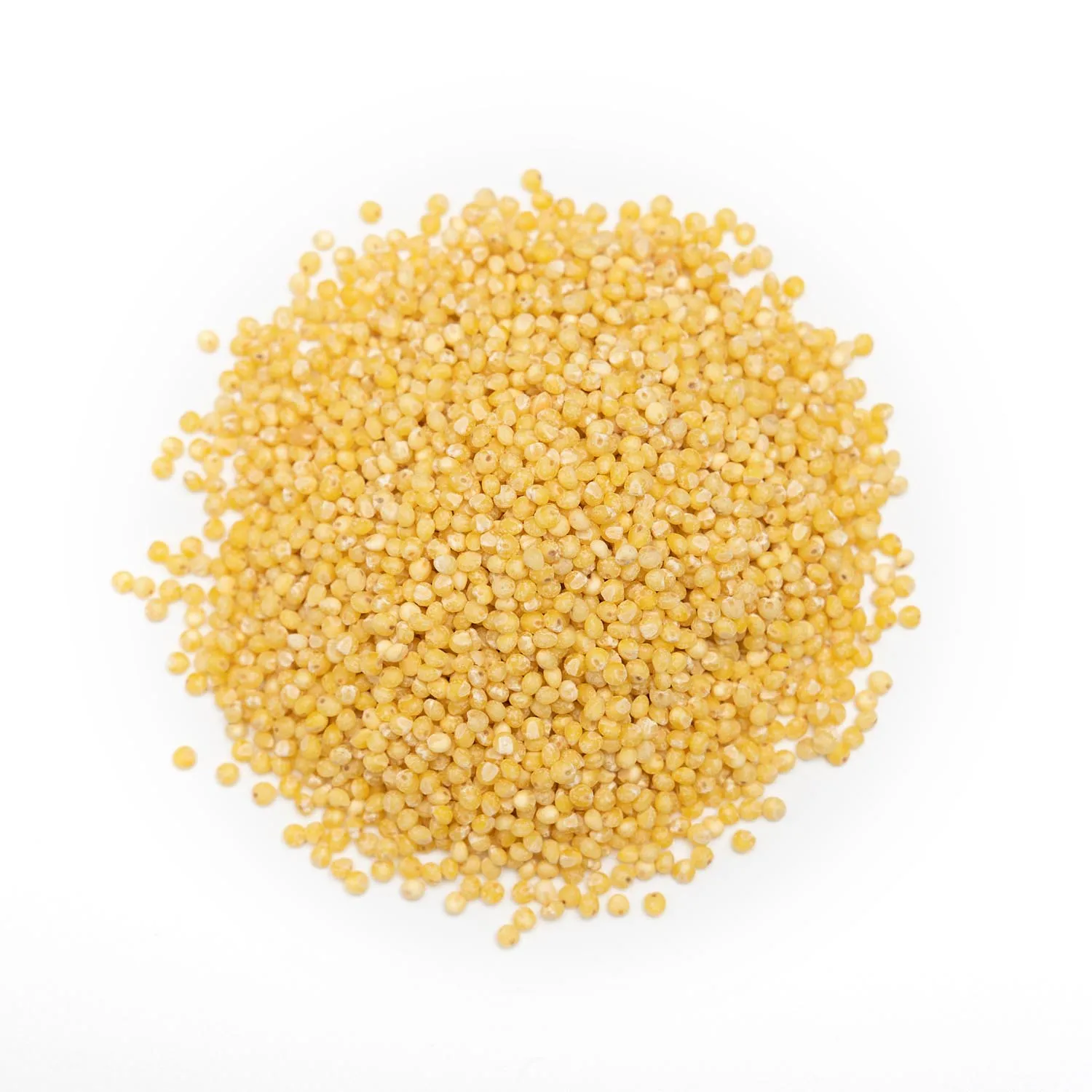 Millet supplier hulled yellow pearl millet grain