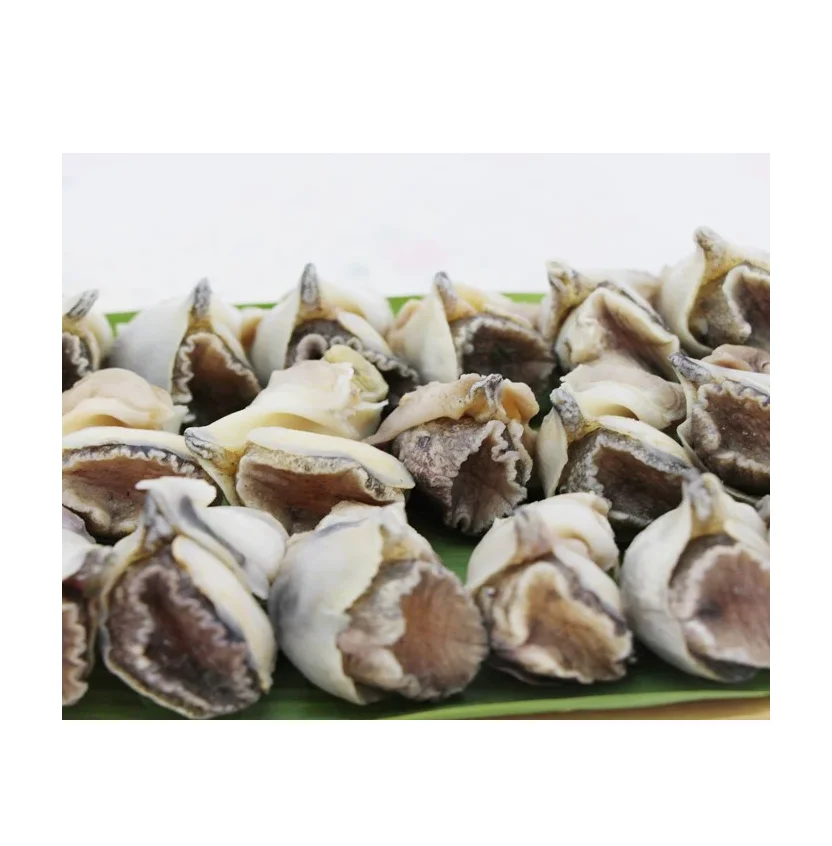 Frozen Conch Meat Seafood Wholesale