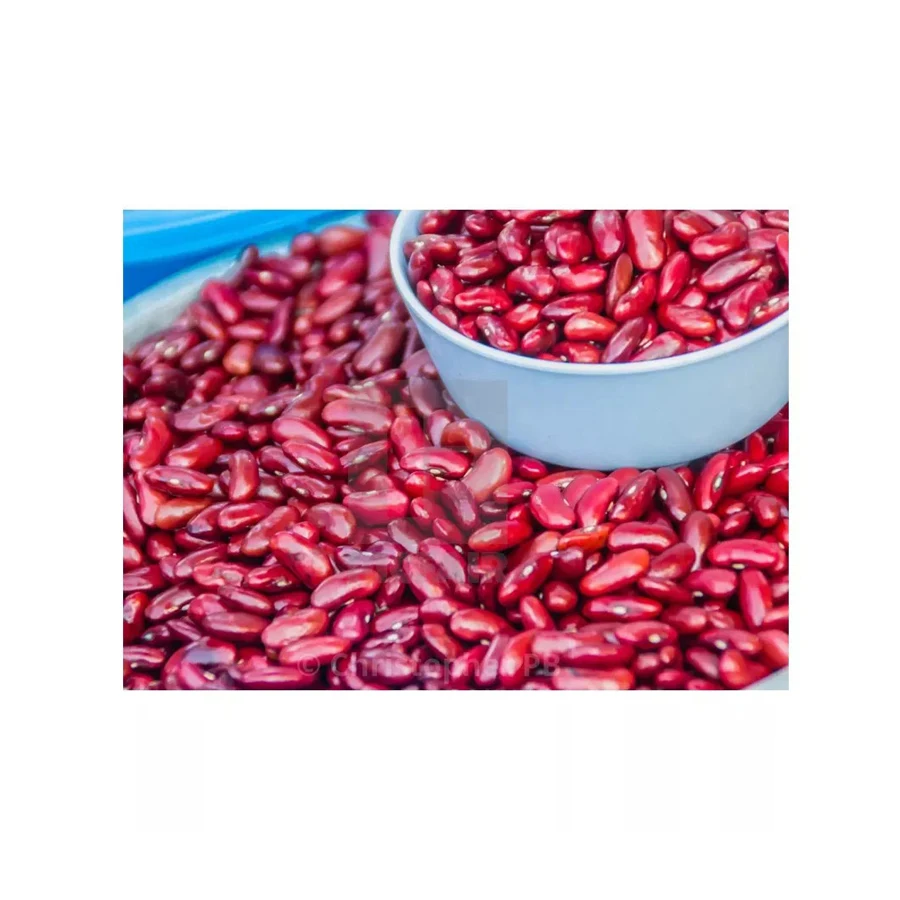 Dark Red Kidney Beans Long Shape for Sale Wholesale Dried