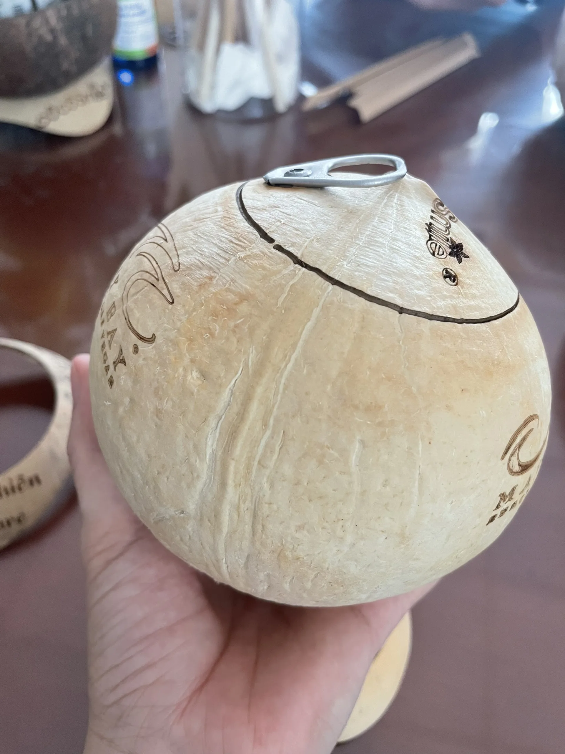 Good price Export Purchase Organic Farm Carton Packaging Polished Shape Coconut Pulp Good price Export Purchase Organic Farm