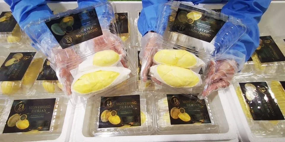 No. 1 of Thai fruit exports must be us only. dear durian Ready to travel to LA, USA Monthong Durian Premium Grade A Fresh,