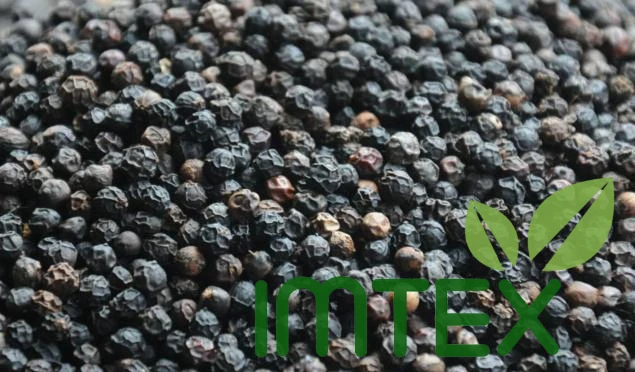 Hot Black Pepper 500 G/L For Exporting High Quality Good Rates For All Country In The World