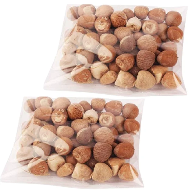 Betel Palm Areca Catechu for Snack Ingredients by Envico Bright Indonesia