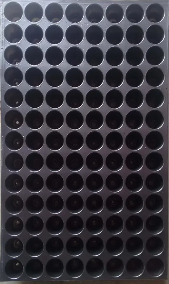 Wholesale Supply Customized Holes Seedling Tray for Field Planting Without Disturbing 	Seedling Tray