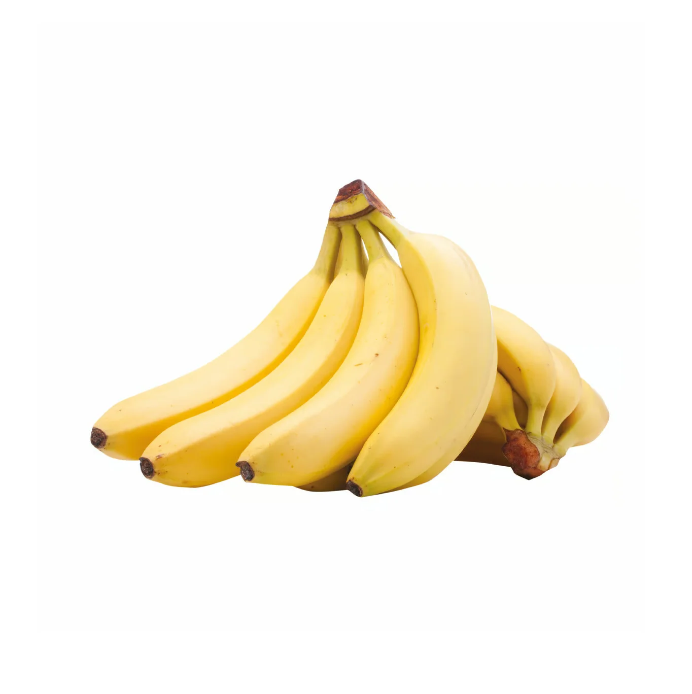 Supply Fresh Green Cavendish Banana With Premium Export Quality