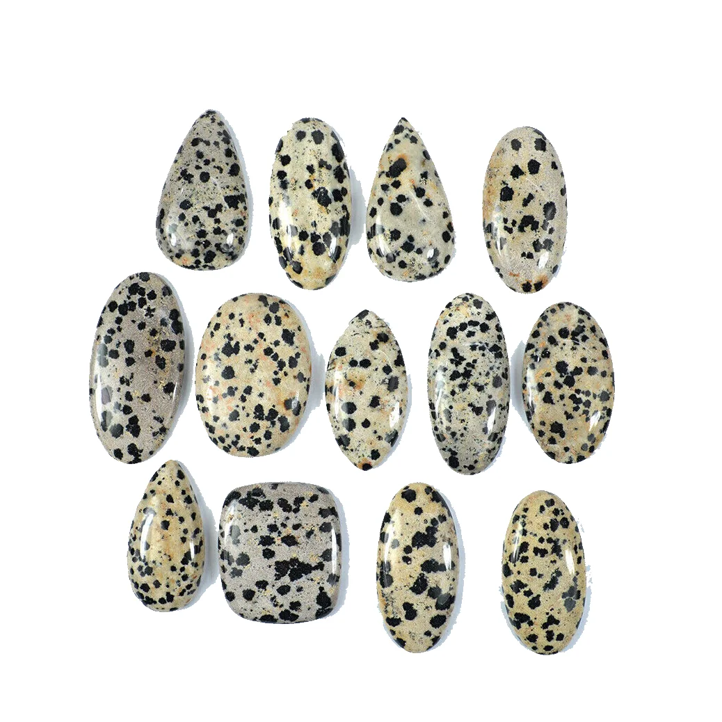Natural stone Dalmatian jasper crystal Mix Shape Loose Gemstone Cabochon healing crystal gemstone All shapes Cabochon