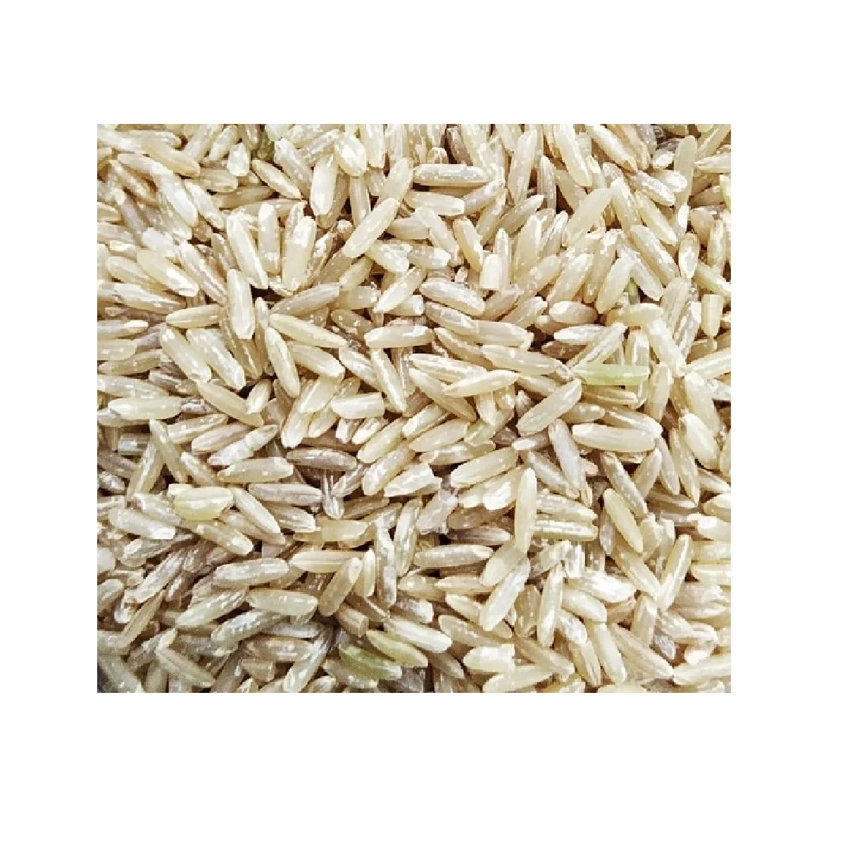 RICE PRICE VIETNAMESE RICE 50KG BAG HACCP BROKEN COLOR BROWN VARIETY TYPE CROP NEW VIETNAM HIGH QUALITY BY JCC RICE FACTORY