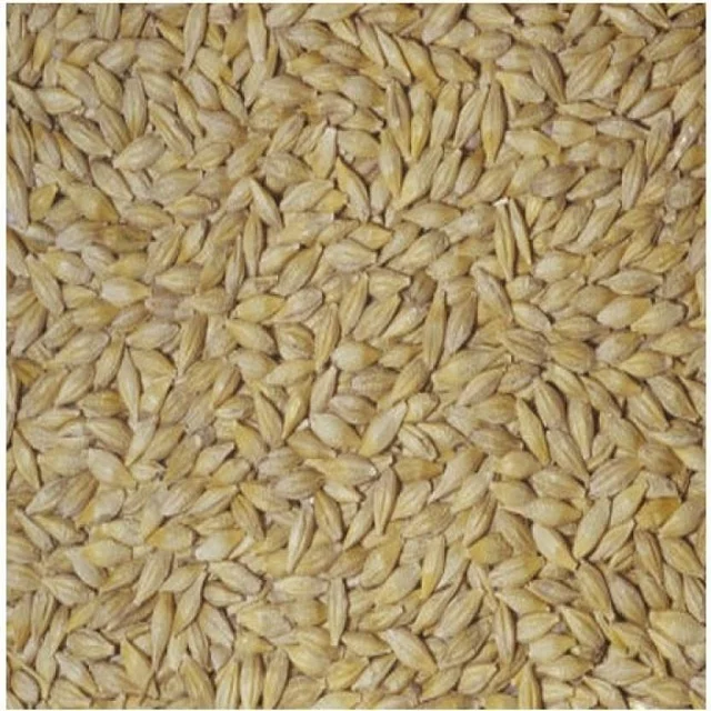 Factory Supply Bulk Wholesale Price Top Quality Barley Grains For Malt | Barley For Animal Feed Available For Sale