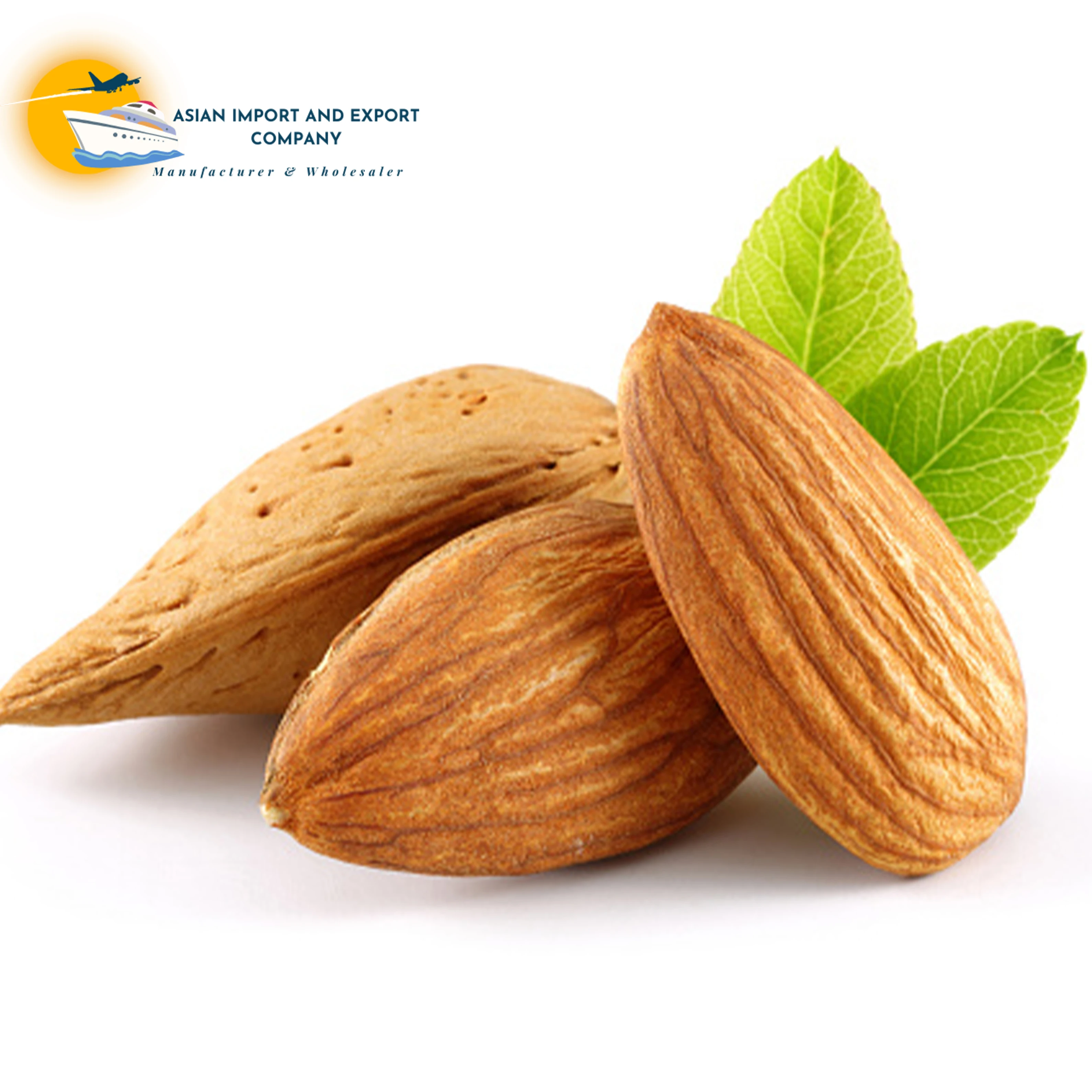 Wholesale 100% Salted Almond Nuts for Exports Almond Value-added goods, Almond Wholesale Price