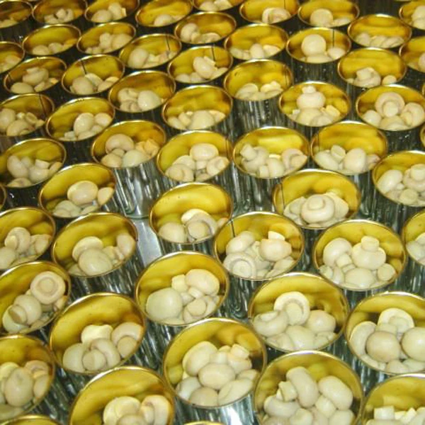 Hot sale Canned mushroom