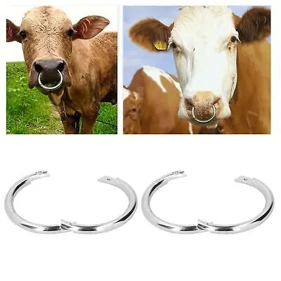 veterinary instruments bull nose ring 2024 model tools and cattle accessories