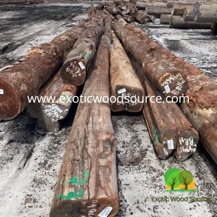 Ironwood Wamara Swartzia spp из натурального черного дерева гуяна розового Yzerhart круглые бревна Суринама поставщик древесины