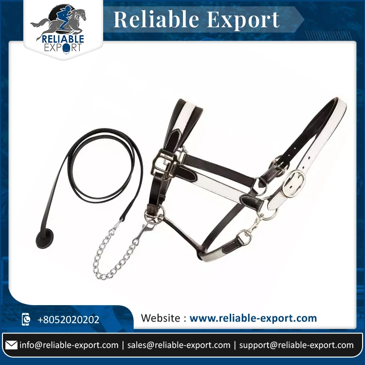 Top Quality Leather Soft Padded White Color Horse Halter With Buckles And Leather Lead With Chain Combo