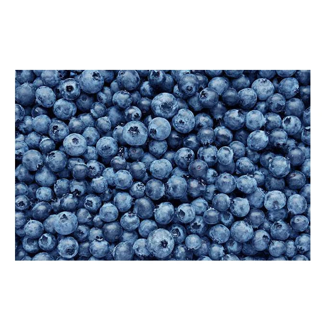 Богатое качество Лидер продаж вкусный сладкий вкус питательные Свежие ягоды 100% натуральная чистая Черника из Египта по лучшей цене