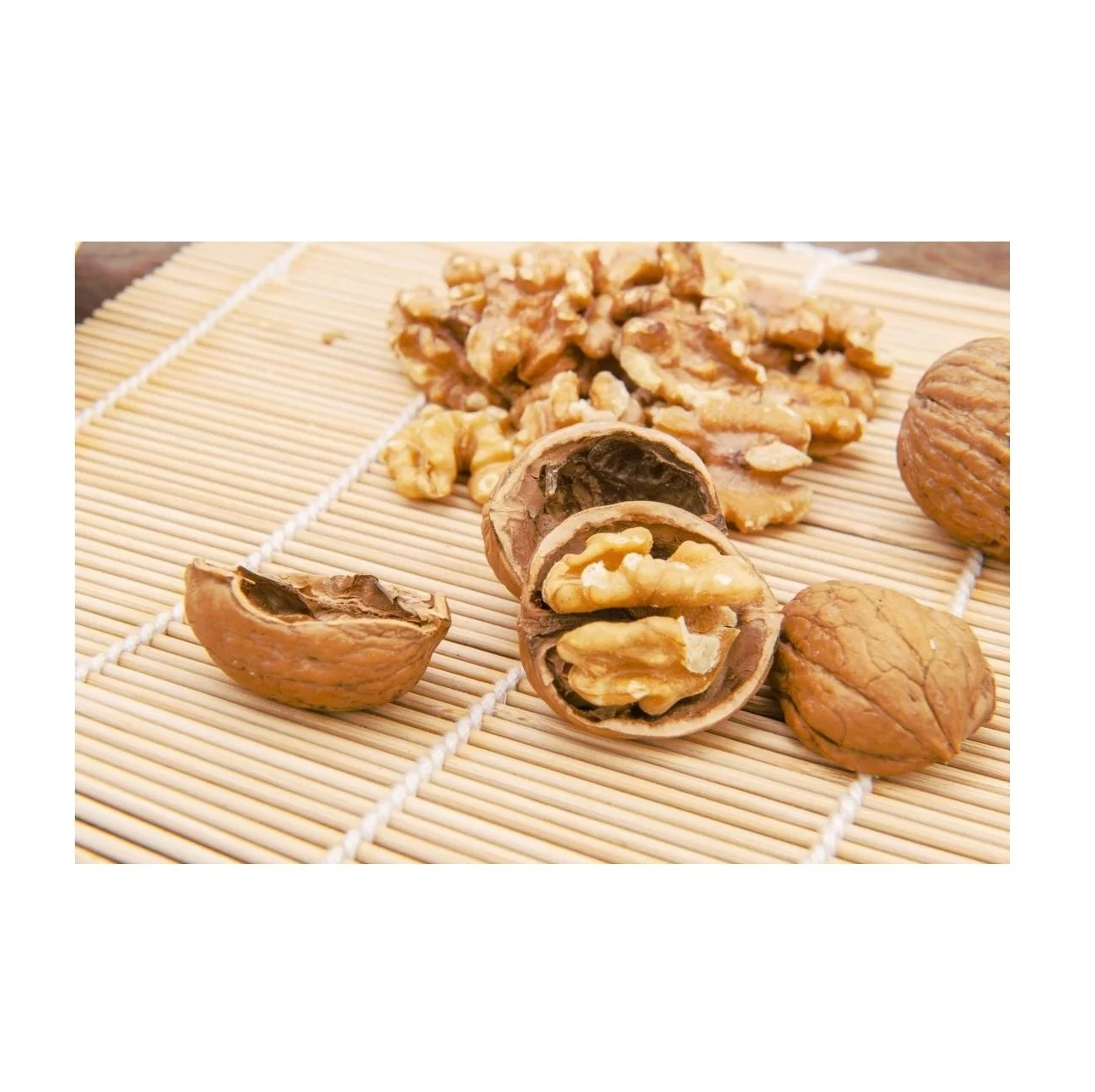 Best price WALNUTS IN SHELL (dried walnut in shell)