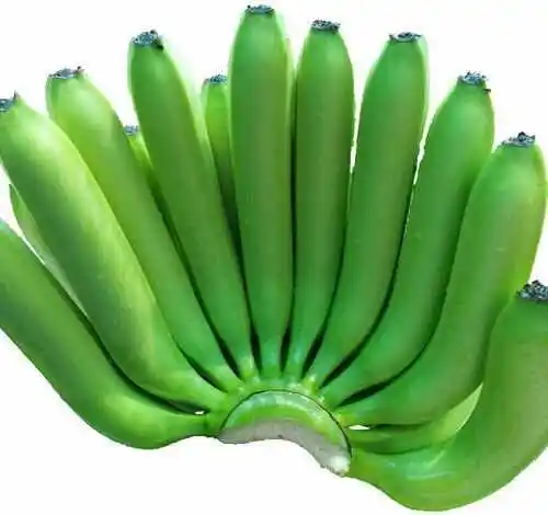 b4.jpg