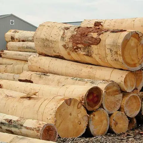 Timber-Logs.jpg