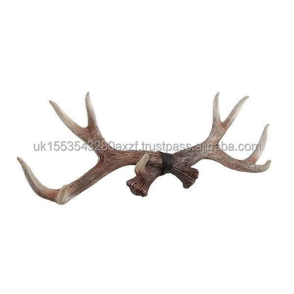 antlers3.jpg