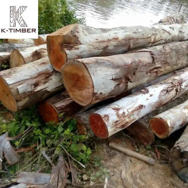 Eucalyptus Square Log From Africa Supplier Hardwood Floor Raw Materials Lumber Log Wooden Pallet Wood Boards Panel Timber