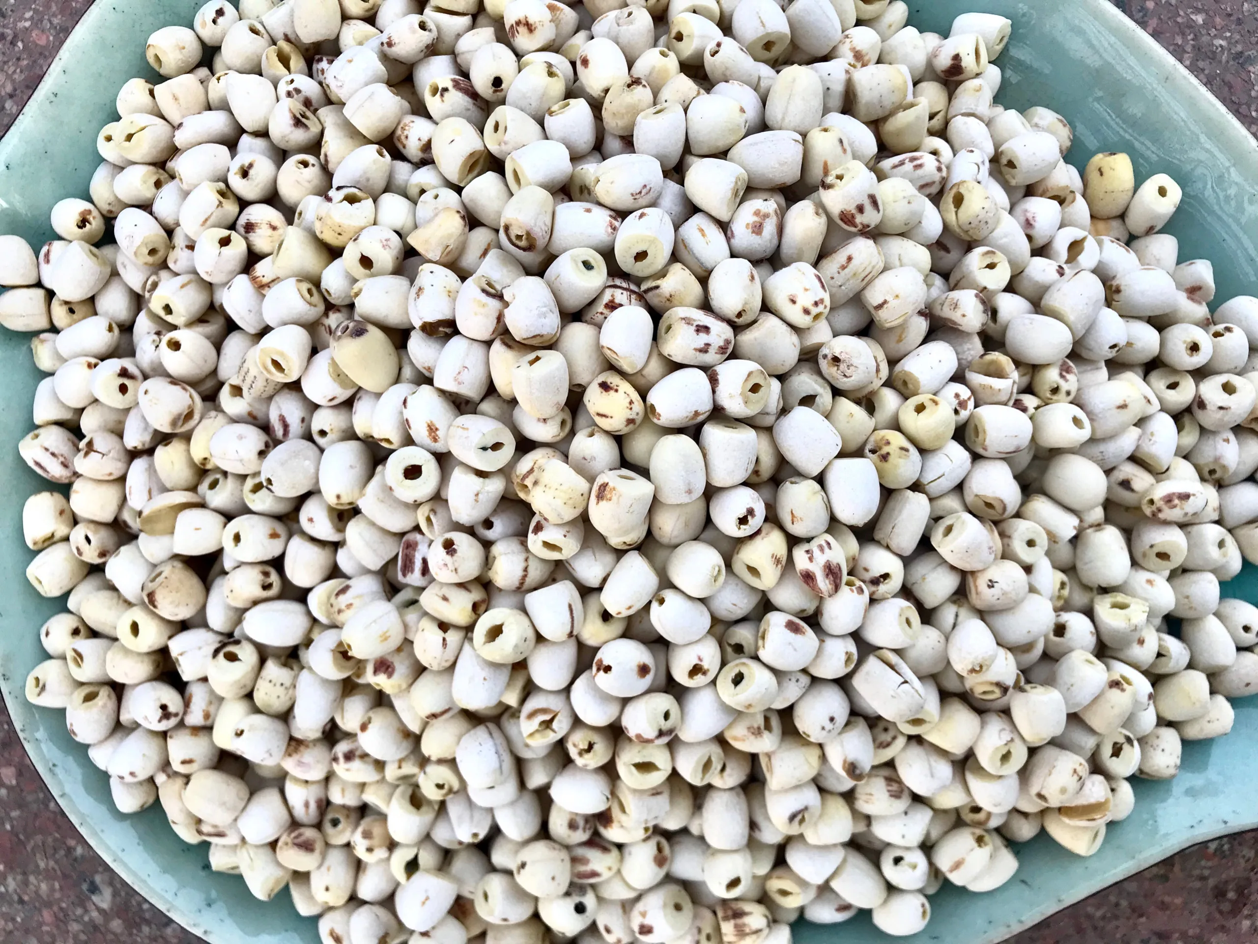 WHITE LOTUS SEED