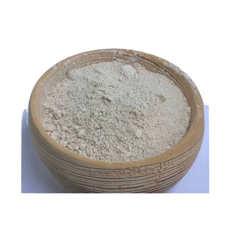 Indian Origin Natural Kieselguhr Catalyst/Diatomaceous Earth Powder at Cheap Price