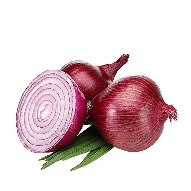 Wholesale Fresh oignons Shallot Peeled Onion Red Yellow White Organic Onion