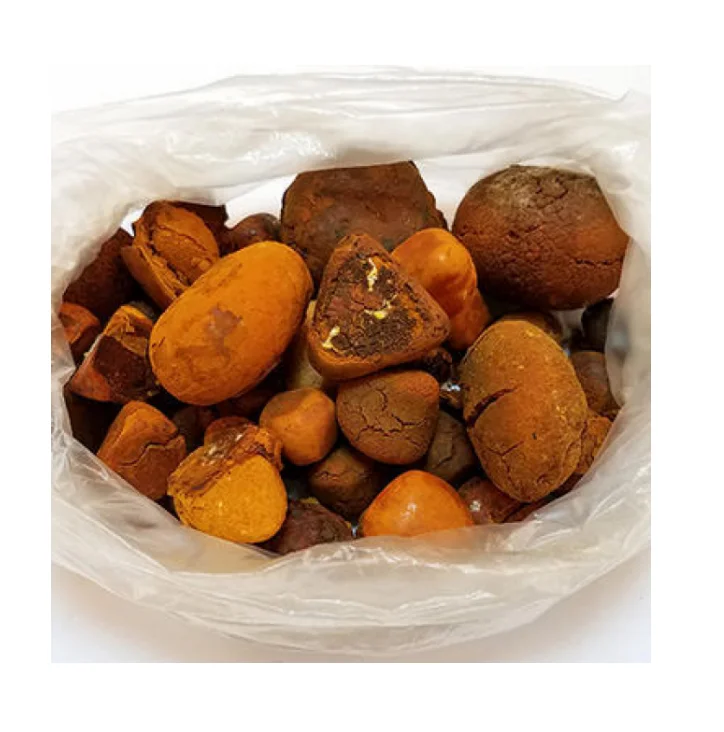 Sell Gallstones Ox Gallbladder Stones Ox Bezoar for Medicine OX Gallstone Supply High Quality Natural Gallstones