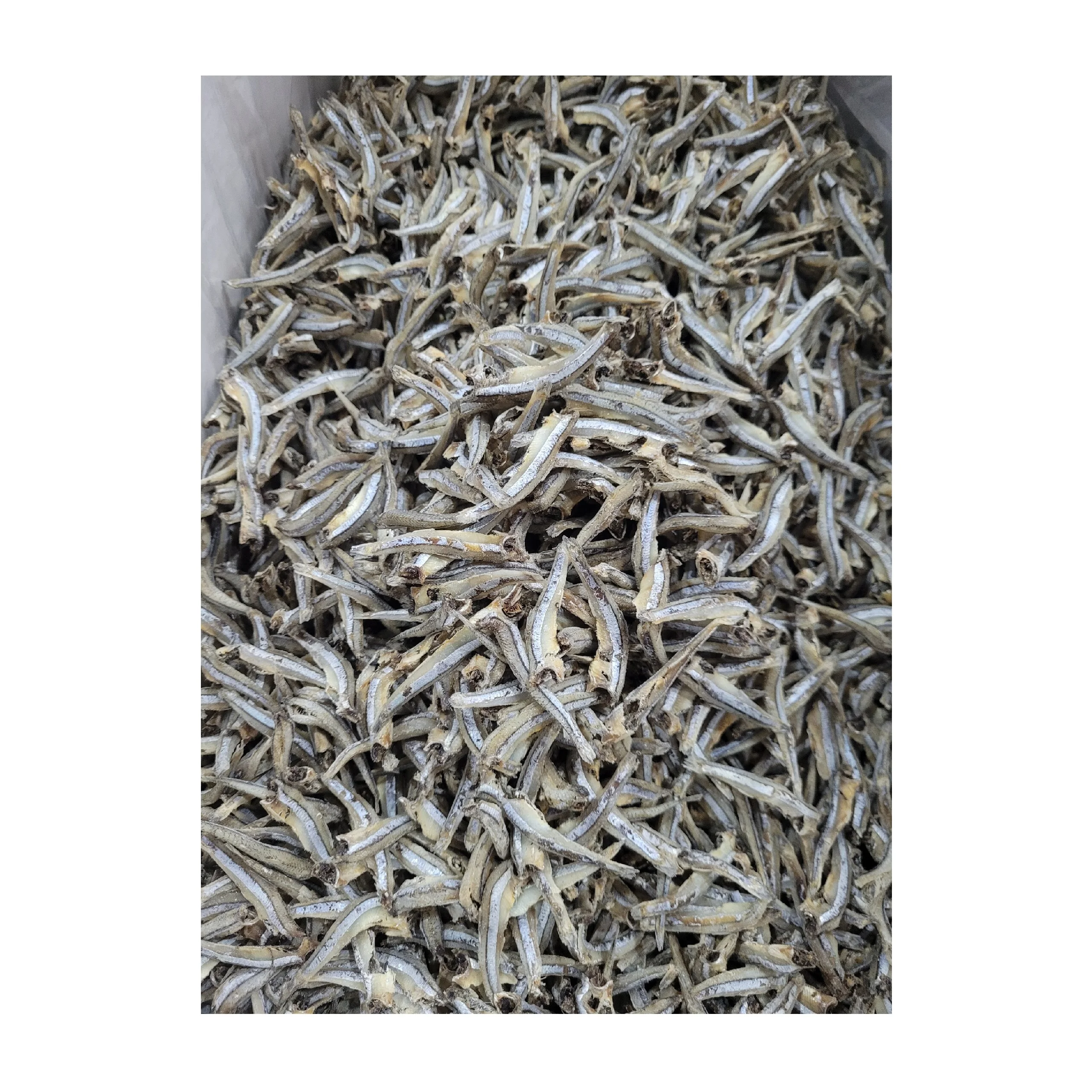 Low OMQ Bulk / Box Packaging Low-Fat Ho Nam  L0 (3-5cm) Dried Anchovies With HACCP and Food Safety Certificates