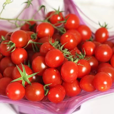 HIGH-QUALITY CANNED CHERRY TOMATOES IN SAVORY TOMATO PRESERVE - IDEAL FOR ALL CULINARY NEEDS EVERY MEAL