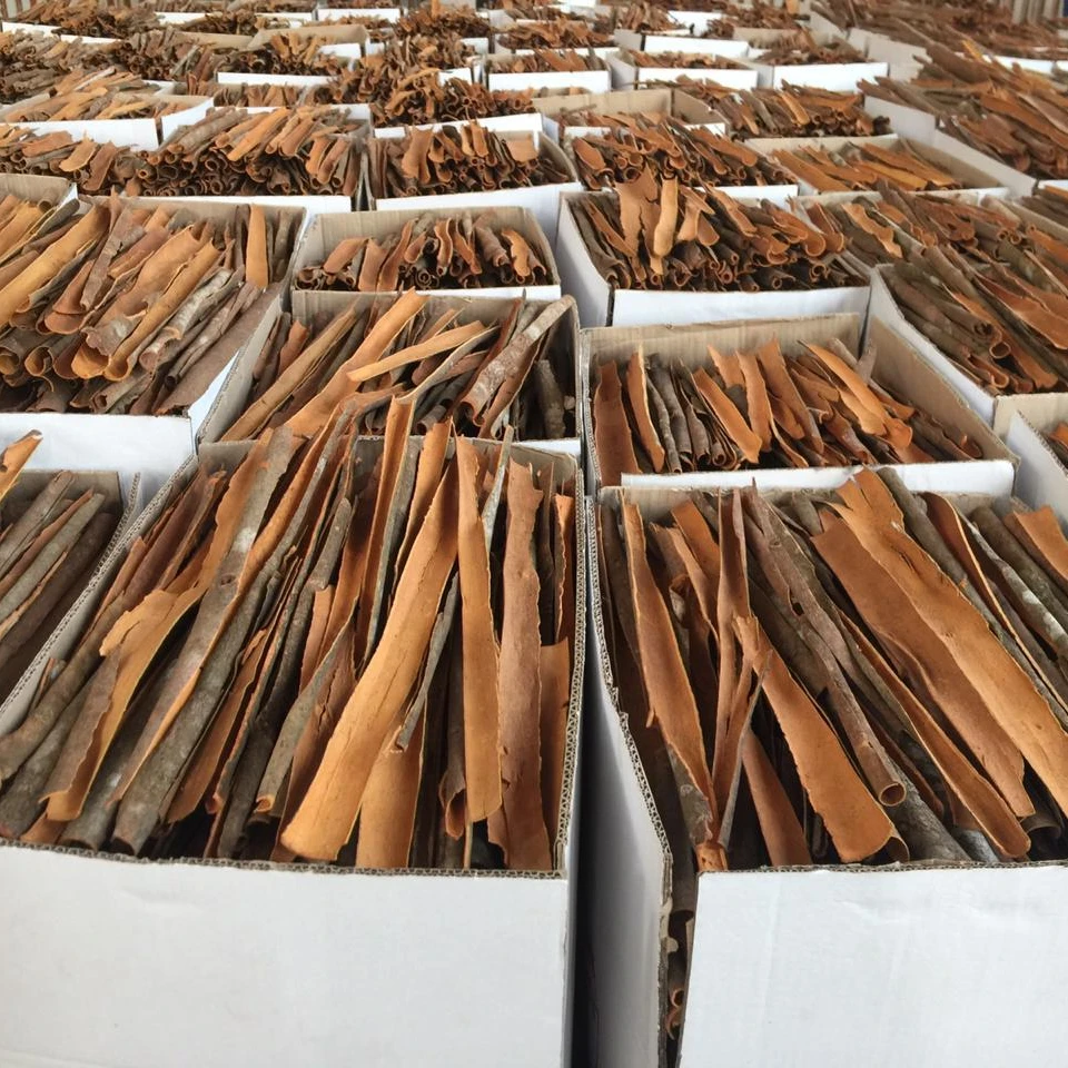 Лучшая цена, сплит корица, сделанная во Вьетнаме, высокое качество // Ms.Emily (WhatsApp + 84-353-650-238)