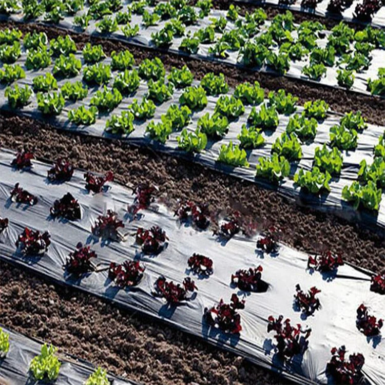 Высококачественная полиэтиленовая пленка LDPE для сельского хозяйства черная пластиковая напольная Крышка сада 1 2 м x 250 30 мкм Заводская низкая цена