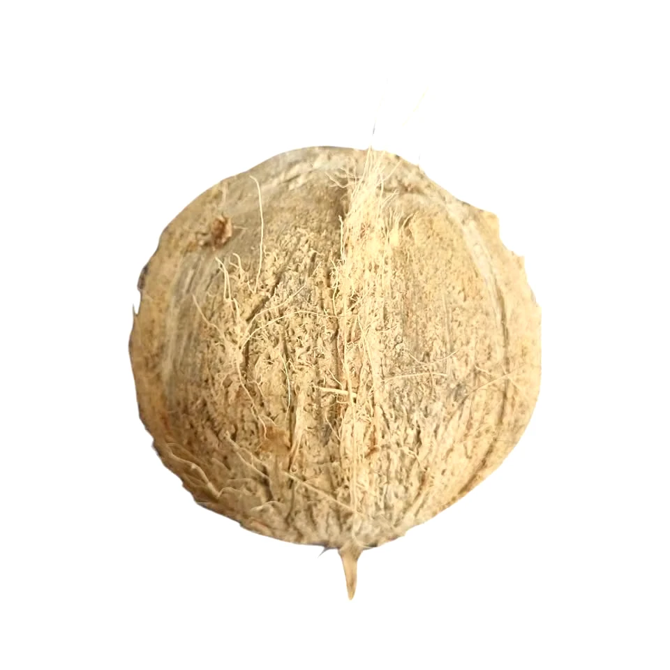 High Quality Organic Fresh Husked Coconuts Top Supplier in Vietnam-Peeled Ripe Coconuts Wholesale in Bulk