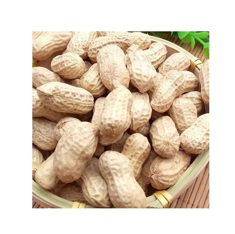 High Quality Raw Peanuts Without Shell Raw Peanuts Blanched Peanut Kernels