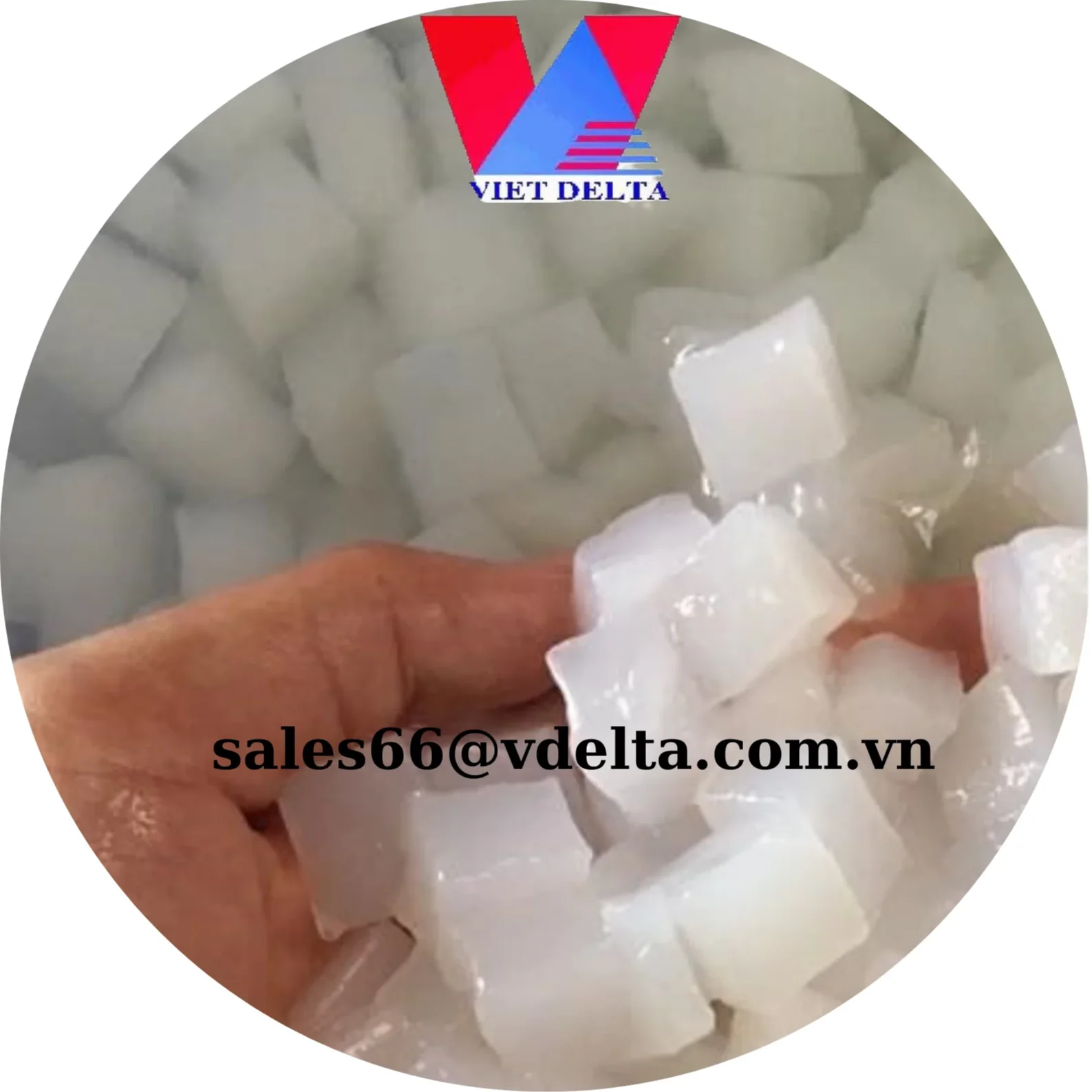 Крупный поставщик прессованного сырого желе Nata De Coco/кокосовое для рынка Кореи Бангладеш в сиропе/лилии + 84 906927736