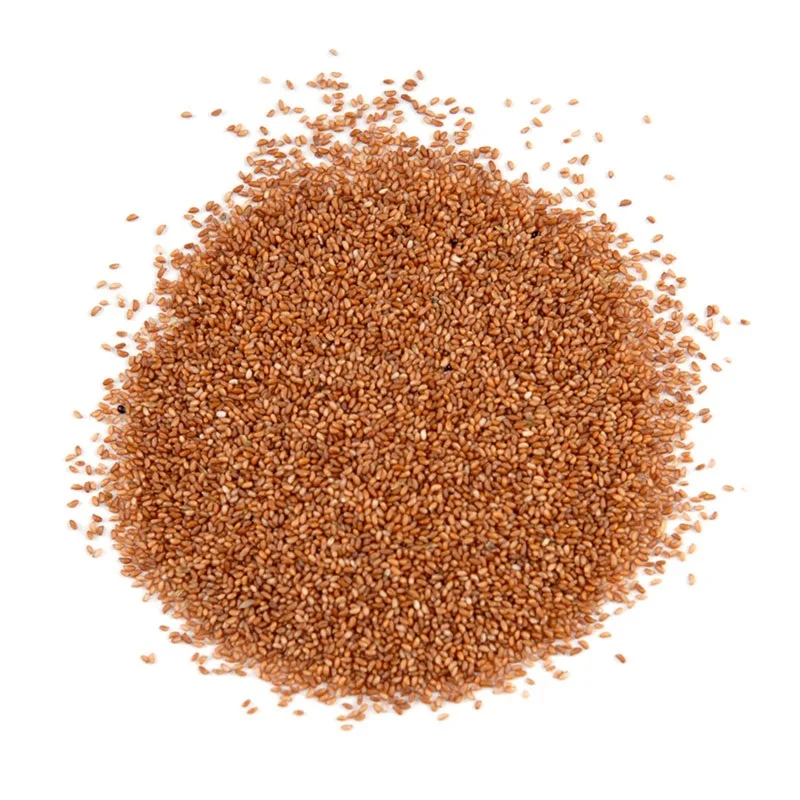 Wholesale Bulk Buy Teff Grains