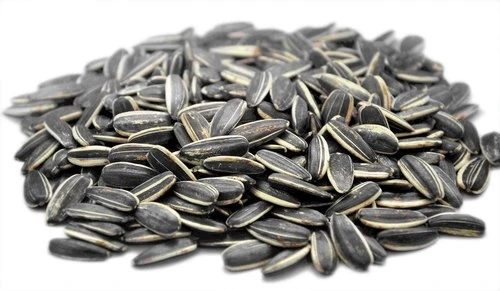 Ready to Ship Good Quality Hot Sale Sunflower Seeds Made In Viet Nam