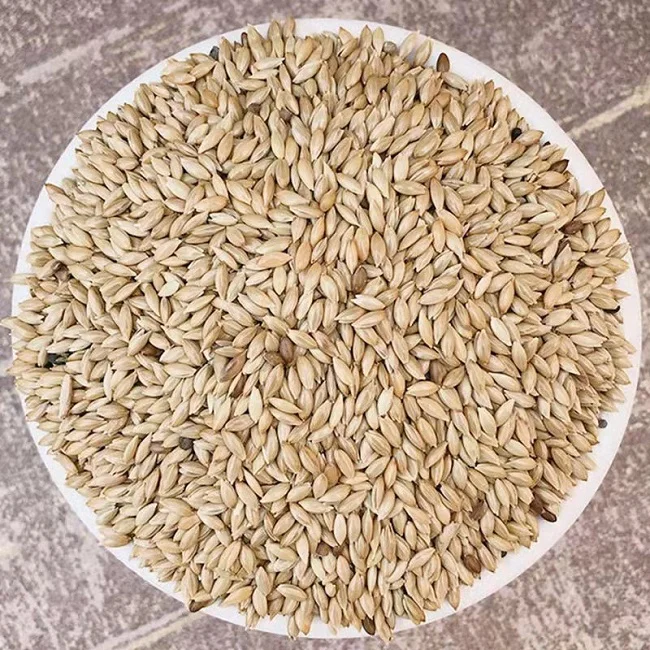 canary seed8.jpg