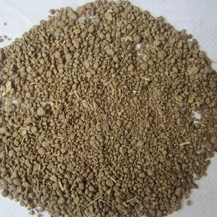Premium Quality Rapeseed Meal/ Rape seed Meal at - Wholesale/Bulk