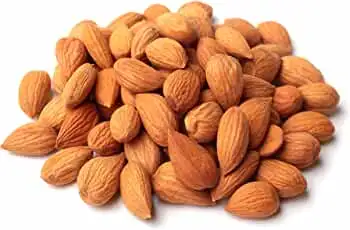 Low Price Dried apricot kernel/bitter and sweet apricot kernel