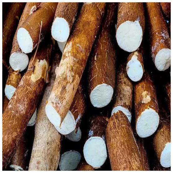 Bulk food grade White Cassava Starch For export Corn Starch Starch Hot Sell Supply Good Price Corn