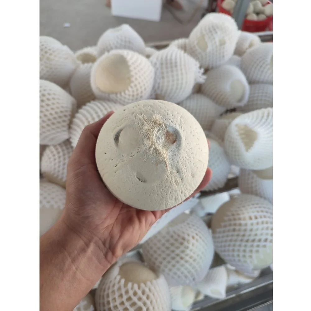 Свежие кокосы тропическая картонная упаковка сладкий вкус белый и зеленый свежий Алмазный кокос из Вьетнама