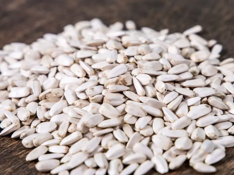 High Quality Sunflower Seeds In Wholesale Market Price with Export Sunflower Seeds