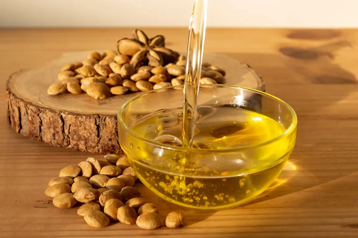 Органическое Масло Сача-инчи хорошего сорта масло Инчи с инками экстра-девственницы Омега 3/мс. Лима (+ 84) 346565938