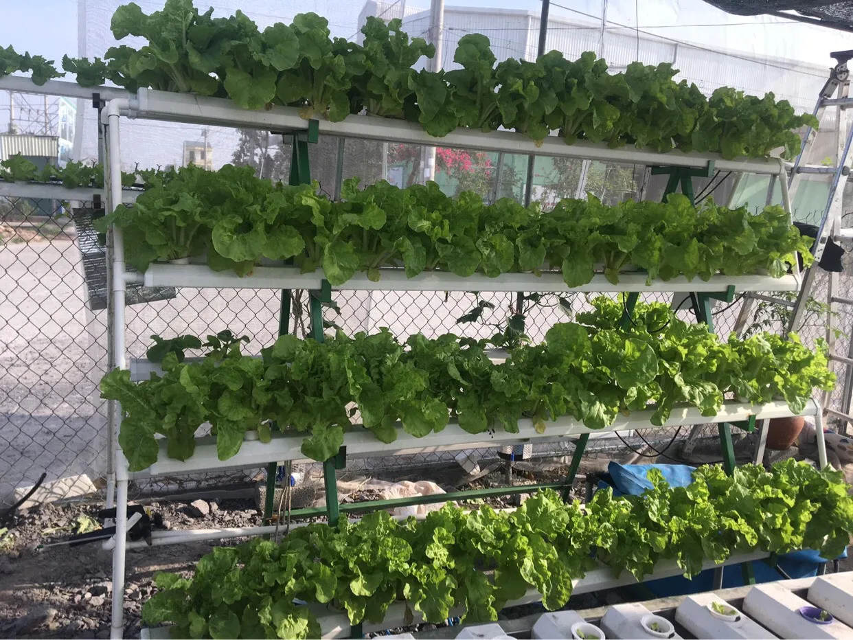 104 Planting Holes Garden Irrigation Plastic PVC Automatic Hydroponic Vegetable Growing System With Substrate